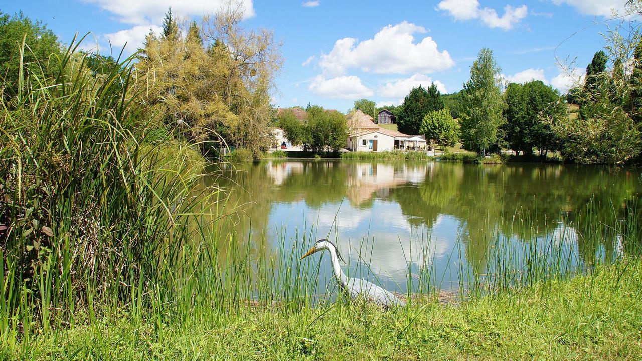 Le Domaine De L'Etang De Sandanet Issac Exteriér fotografie