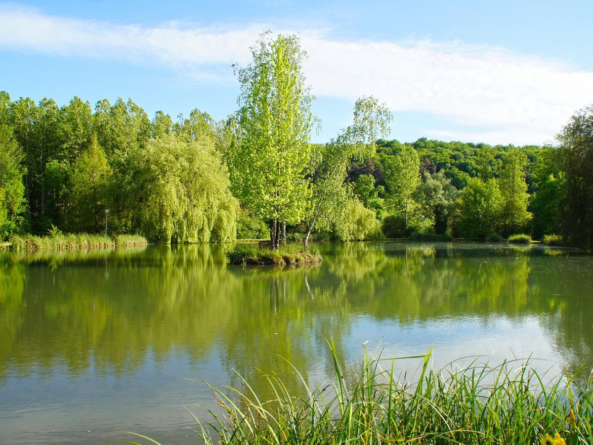 Le Domaine De L'Etang De Sandanet Issac Exteriér fotografie